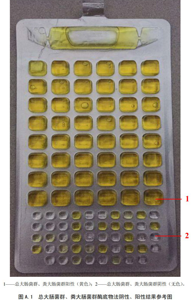 總大腸菌群、糞大腸菌群酶底物法陰性、陽性結(jié)果參考圖